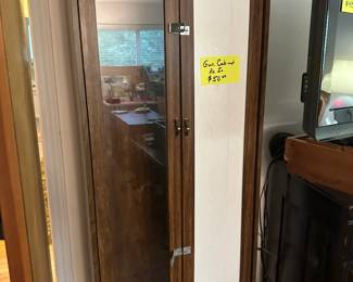 GUN CASE