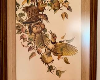 Audubon Litho