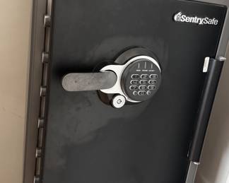 Sentry Safe