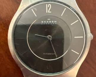 Skagen Denmark watch