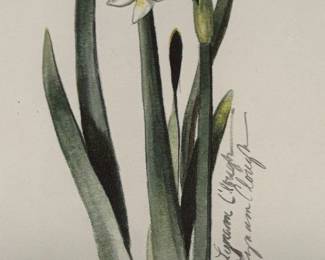 Signed Sandy Clough Watercolor