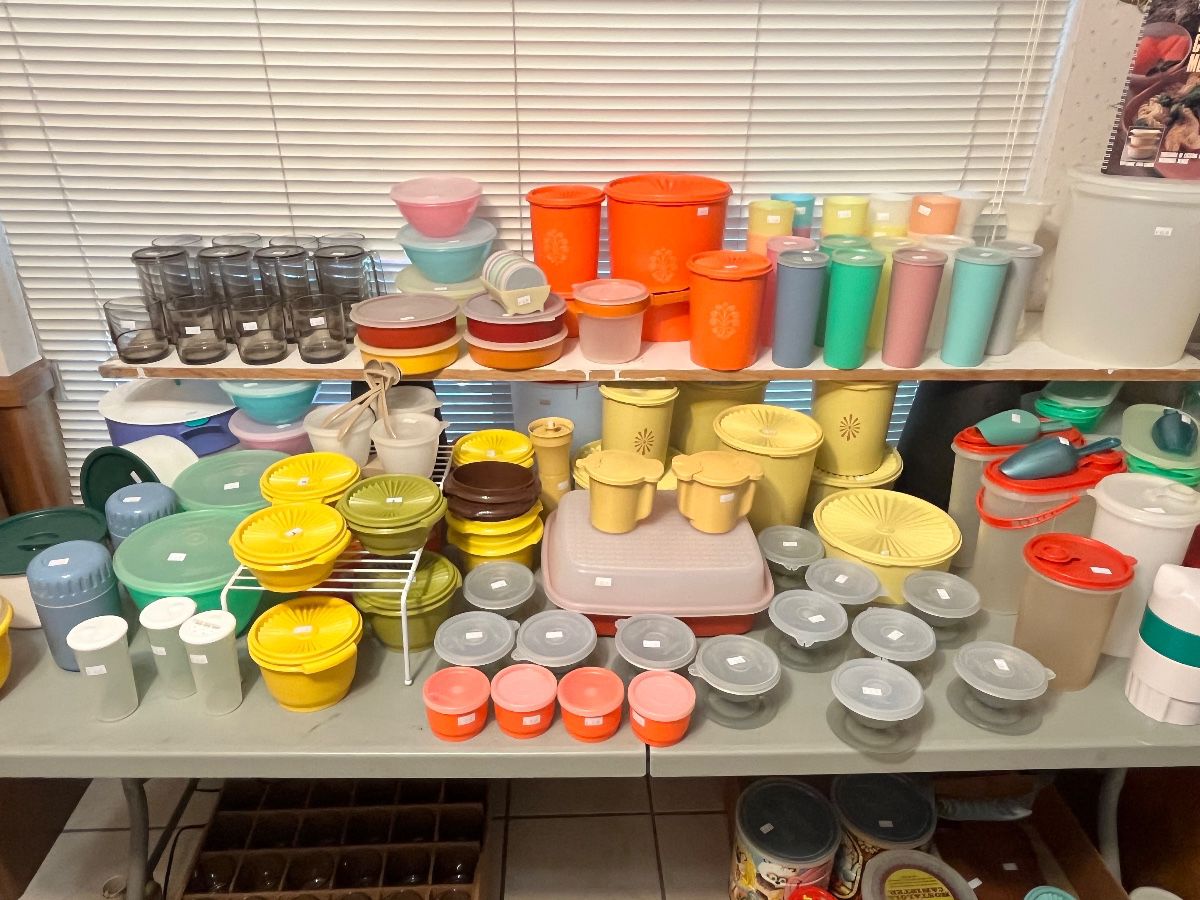 A GENUINE TUPPERWARE PARTY! (SEE THE OTHER PICTURES!)