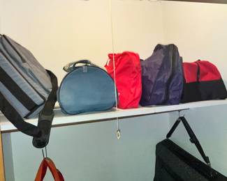 CARRY BAGS