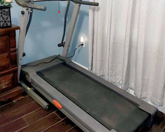 Electric Treadmill. It works!
