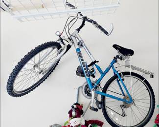 Giant Bicycle -- has seen little if any use.