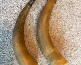 Horns for Fox Hunting
