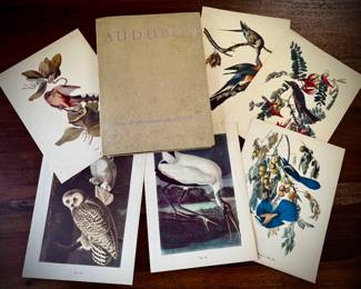 Audubon Birds of America 50 plates