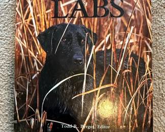 Wildlife and Animal Photography Books
