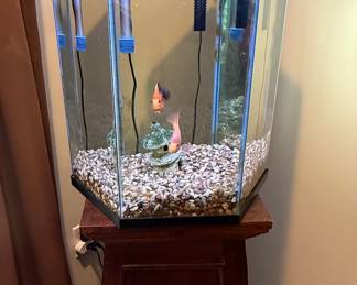 Hexagonal Aquarium with Stand