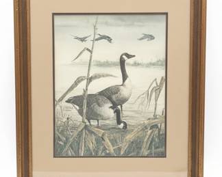 Canada Geese Lithograph Print by Robert Bateman