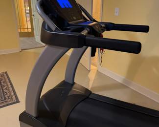 True Treadmill Performance 100/300. Very nice! Clean, newer, good-looking. WORKS GREAT