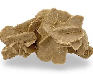 Unique Desert Rose Gypsum Cluster