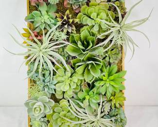 Pottery Barn Succulent Wall