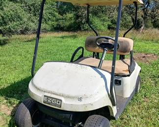 E-Z-Go gas powered golf cart (needs new seats, a good cleaning, new battery, and carburetor cleaned).