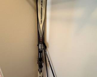 Skis
