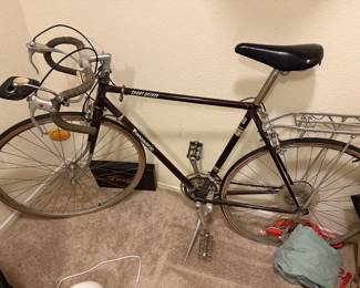 Panasonic Sport Deluxe