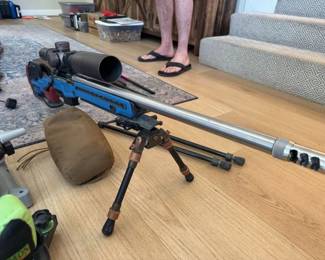 gun