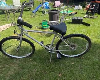 Schwinn cruiser