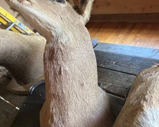 Lot #44