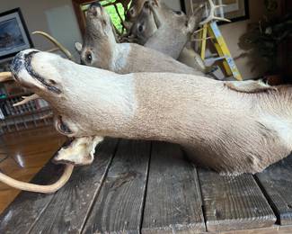 Lot #45