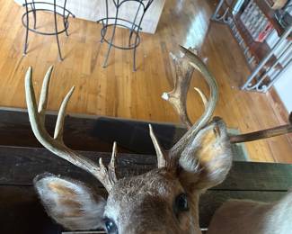 Lot #2