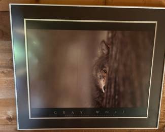 Lot #60 - $25 - Gray wolf framed poster 34" x 28"