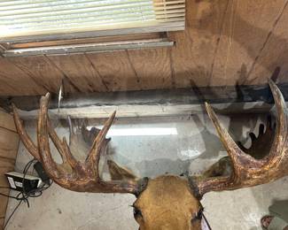Lot #1