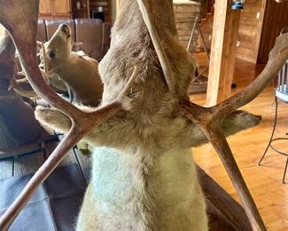 Lot #4