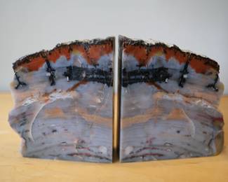 These petrified wood bookends feature a polished face showcasing unique geological layering and rustic bark-covered edges.