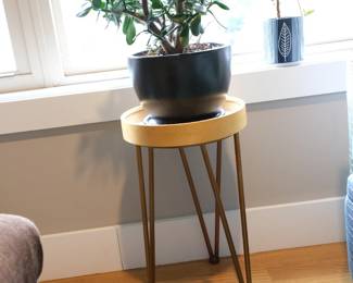 Mix succulent with planter and stand