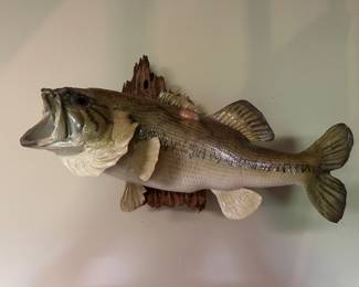 Large Mouth Bass-Taxidermy