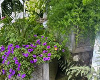 Some of the Great Planters