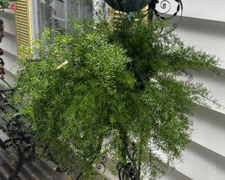 Beautiful Victorian Wrought Iron Fern Stand Pair