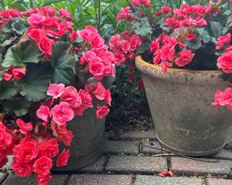 Good Plants and Planters