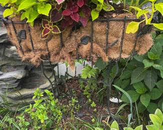 Several Iron Planters - Different Designs