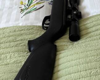 Air Rifle - Gamo