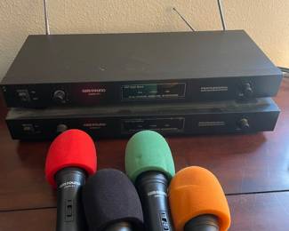 GEMSOUND GMW-61 WIRELESS MIC SET
