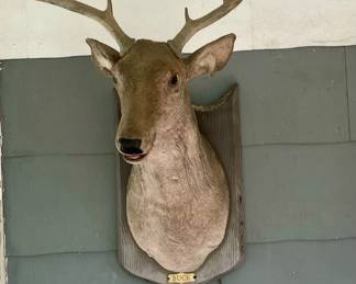 Buck the talking Deer with Remote 