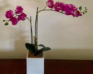 ORCHID DECOR