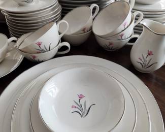 Alpine pattern vintage Syracuse China
