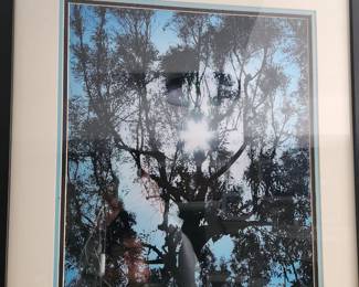 Original photography art