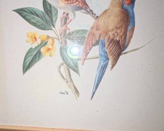 Vintage Botanical Bird Print Double-Frame by PM Fitzpatrick