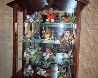 Wall Display Case