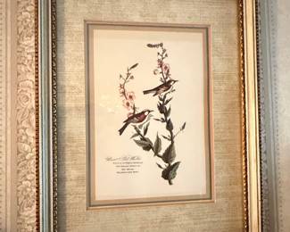 John James Audubon Chestnut-Sided Warbler Botanical Print