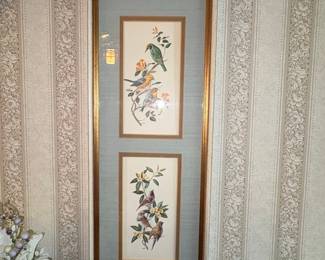 Vintage Botanical Bird Print Double-Frame by PM Fitzpatrick