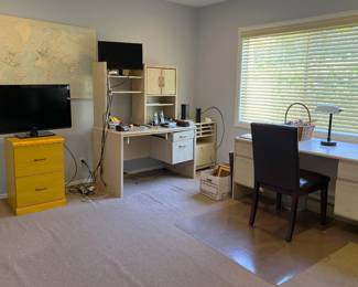 There are a few office and desk pieces in the sale:  a pair of desks, a two-drawer filing cabinet, the world wall map, and a pair of video monitors.