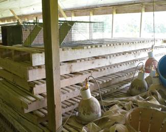 Wooden Poultry House Slats, Wire Varmin Traps, and Brooder Heat Lamps