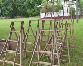 Vintage Wooden Orchard and A-Frame Step Ladders
