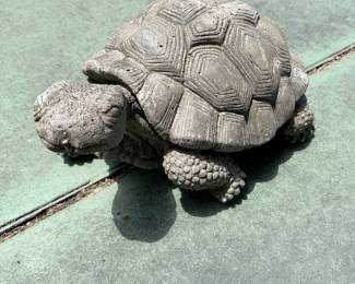 Concrete Turtle