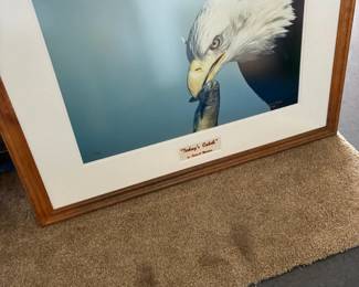 Photo of Eagle